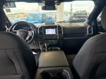 2019 F-150 Thumbnail 14