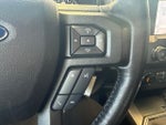 2019 F-150 Thumbnail 18