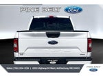 2019 F-150 Thumbnail 4