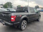 2019 F-150 Thumbnail 5