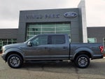 2019 F-150 Thumbnail 4