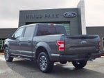 2019 F-150 Thumbnail 5