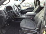 2019 F-150 Thumbnail 11