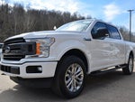 2019 F-150 Thumbnail 3