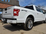2019 F-150 Thumbnail 4