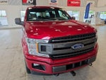 2019 F-150 Thumbnail 2