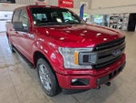 2019 F-150 Thumbnail 5