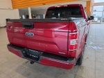 2019 F-150 Thumbnail 8