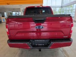 2019 F-150 Thumbnail 9