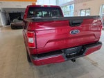 2019 F-150 Thumbnail 10