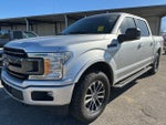 2019 F-150 Thumbnail 2