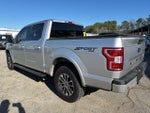 2019 F-150 Thumbnail 4