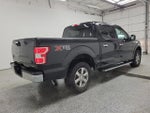 2019 F-150 Thumbnail 3