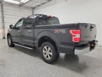 2019 F-150 Thumbnail 4