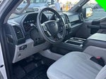 2019 F-150 Thumbnail 8