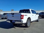 2019 F-150 Thumbnail 20