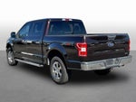 2020 F-150 Thumbnail 5