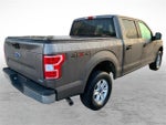 2020 F-150 Thumbnail 2