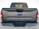 2020 F-150 Thumbnail 3