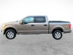 2020 F-150 Thumbnail 5