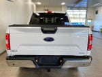 2020 F-150 Thumbnail 6