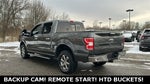 2020 F-150 Thumbnail 4
