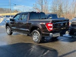 2021 F-150 Thumbnail 11