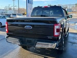2021 F-150 Thumbnail 12