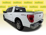 2021 F-150 Thumbnail 11