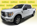 2021 F-150 Thumbnail 15