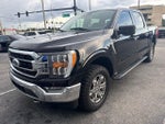 2021 F-150 Thumbnail 2