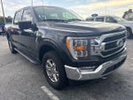 2021 F-150 Thumbnail 3