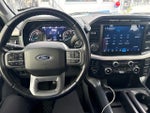 2021 F-150 Thumbnail 7