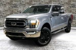 2021 F-150 Thumbnail 3