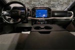 2021 F-150 Thumbnail 8