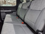 2021 F-150 Thumbnail 7