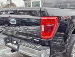 2021 F-150 Thumbnail 25