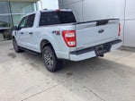 2021 F-150 Thumbnail 2