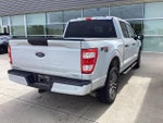 2021 F-150 Thumbnail 3
