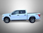 2021 F-150 Thumbnail 8