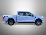 2021 F-150 Thumbnail 4