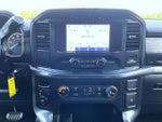 2021 F-150 Thumbnail 14