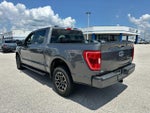 2021 F-150 Thumbnail 3