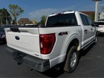 2021 F-150 Thumbnail 13