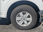 2021 F-150 Thumbnail 10