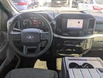 2021 F-150 Thumbnail 13