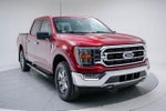2021 F-150 Thumbnail 2