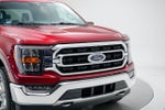 2021 F-150 Thumbnail 3