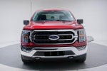 2021 F-150 Thumbnail 4