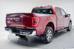 2021 F-150 Thumbnail 10